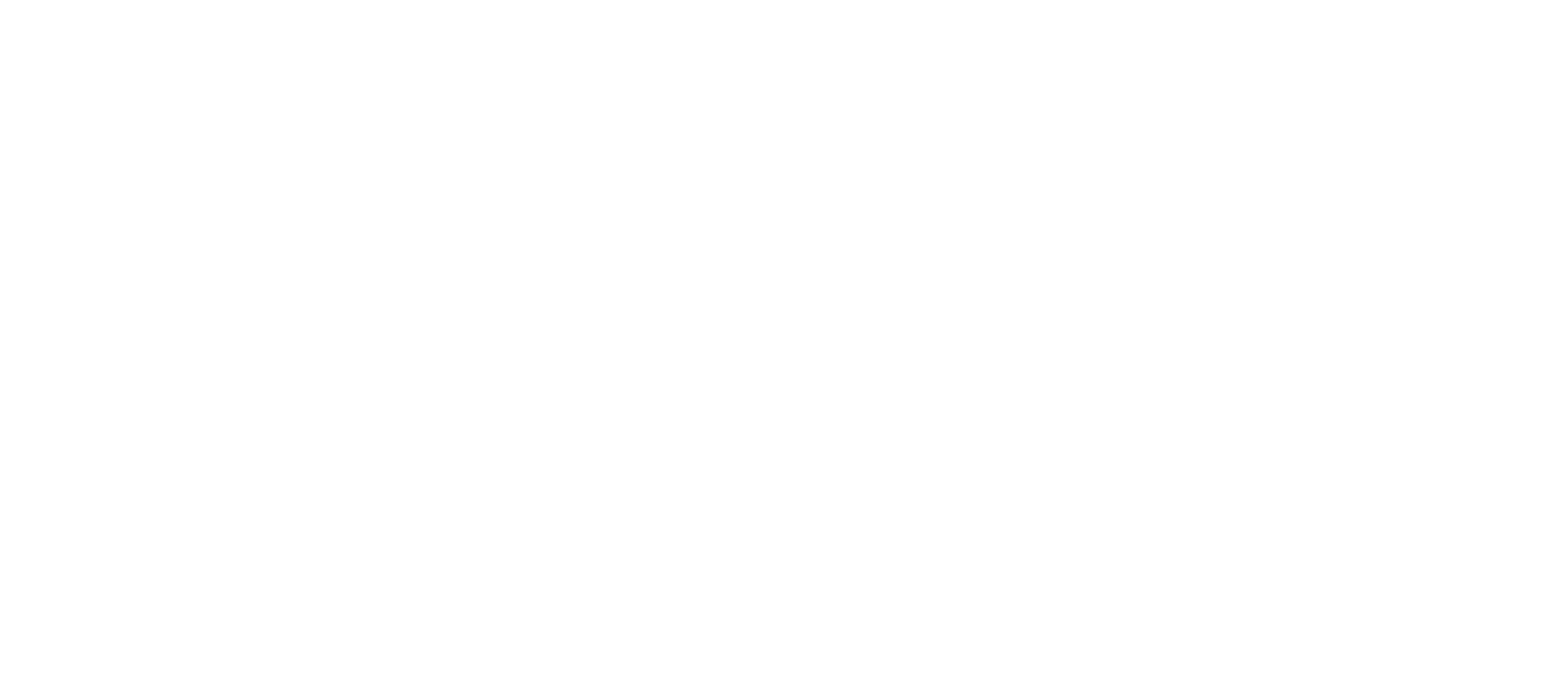 edwin-japan-headline-white-logo